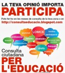 Consulta ciutadana per l'educacií