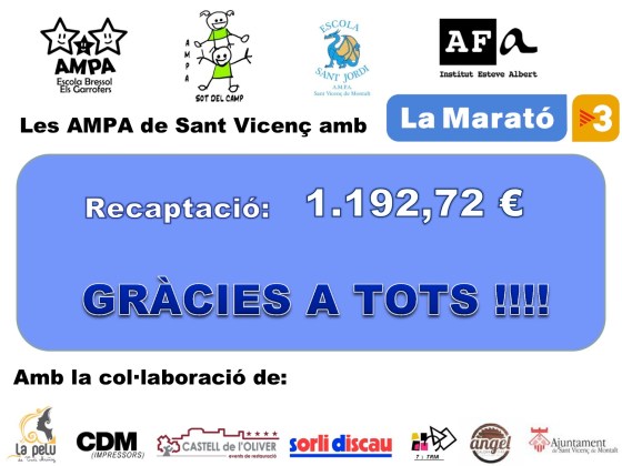 La Marató 2013