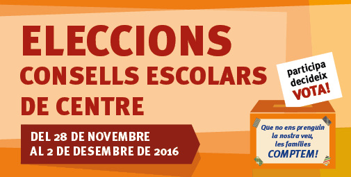 eleccions-consells-banner-xarxes