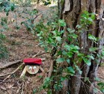 68413B30-8C1F-42A0-A95C-162713F867C0